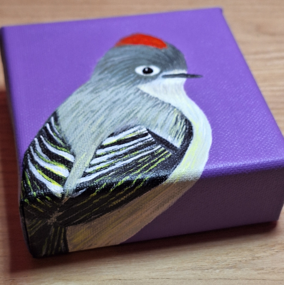 Hand-painted Ruby Crowned Kinglet Canvas Painting - Picture 7 of 8